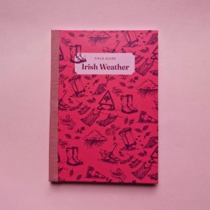 Field Note Irish Weather Notebook