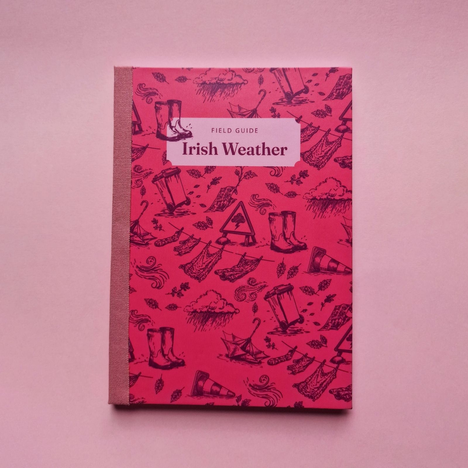Field Note Irish Weather Notebook