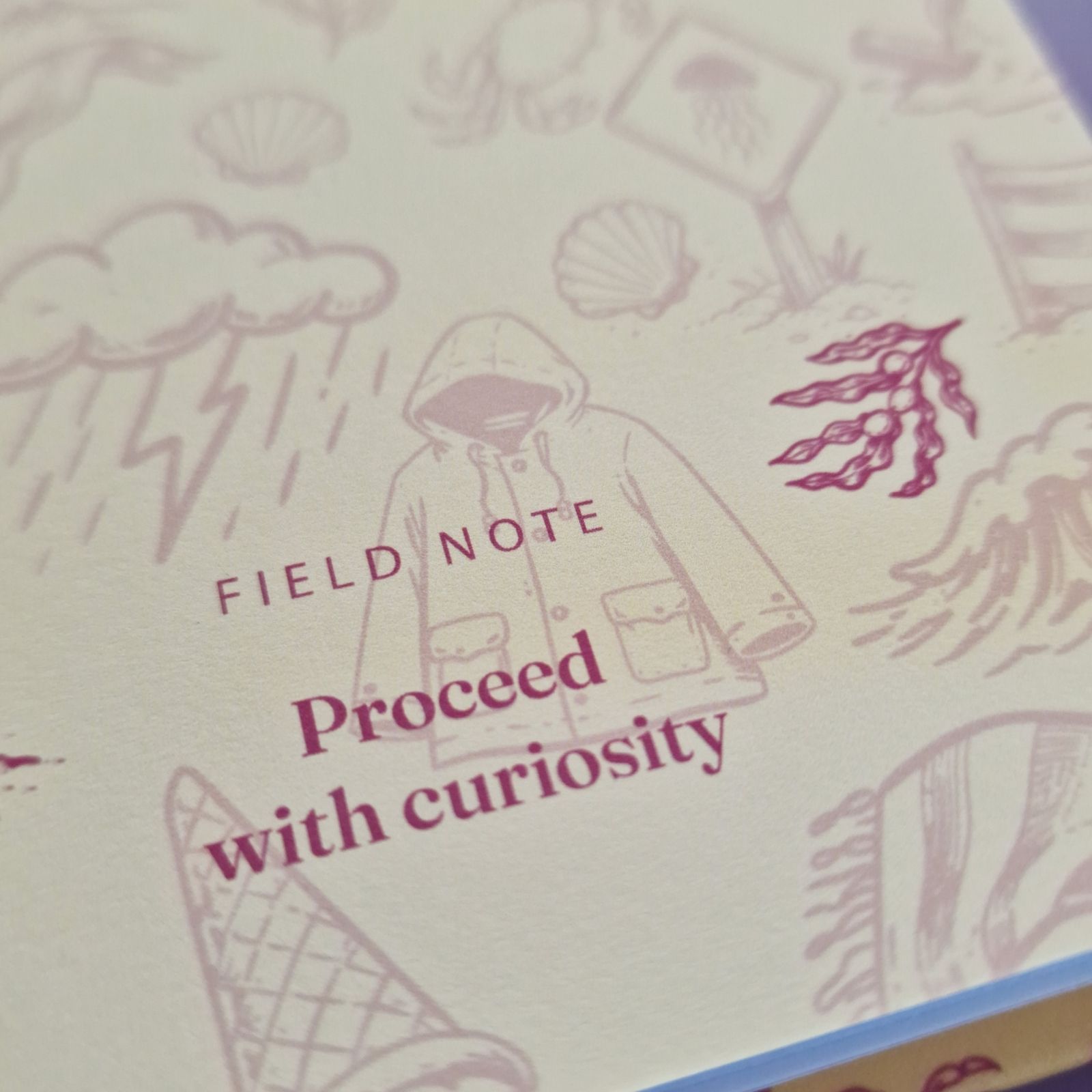 Field Note Irish Seaside Notebook