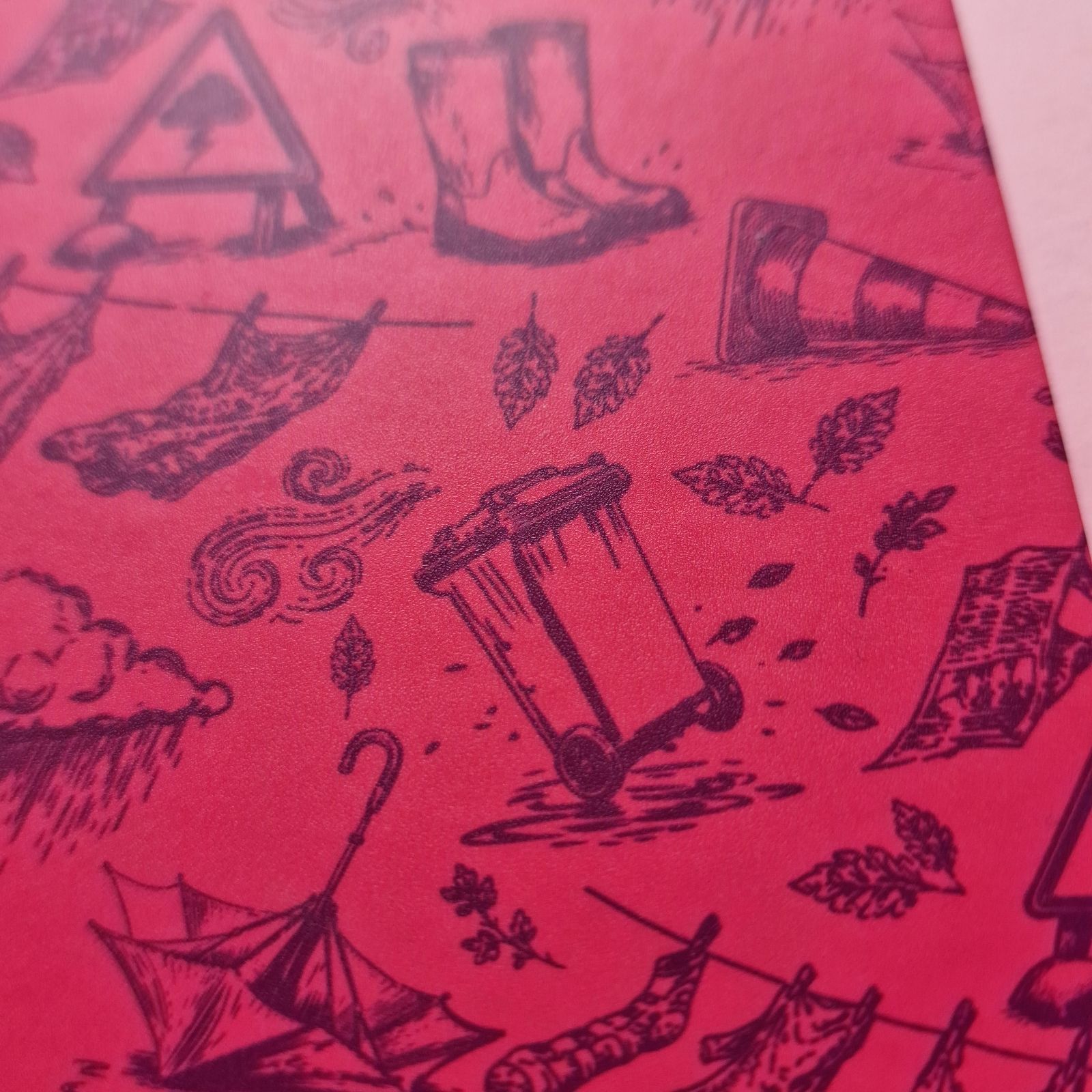 Field Note Irish Weather Notebook