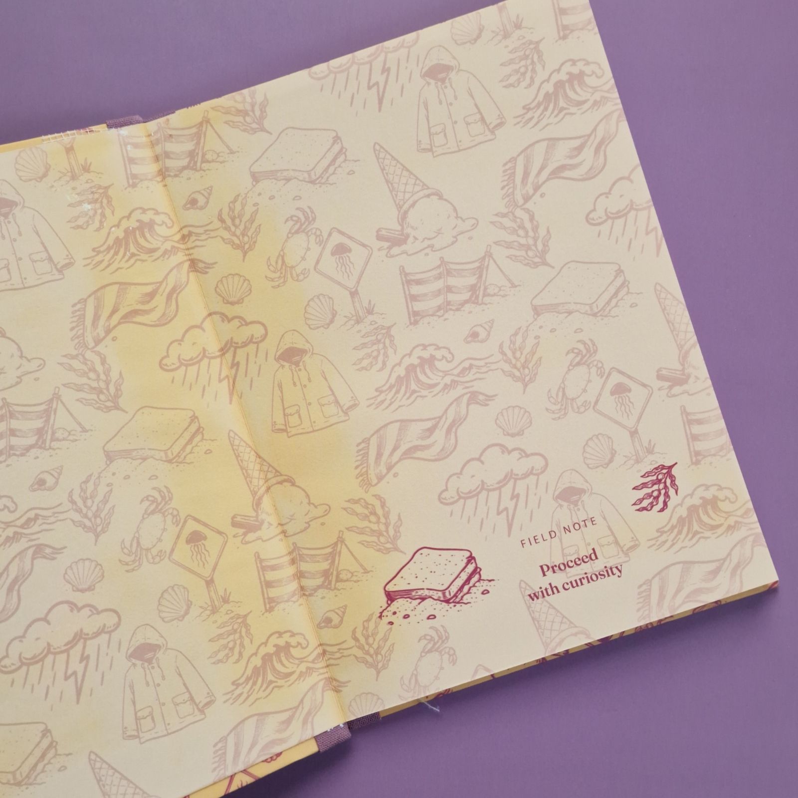 Field Note Irish Seaside Notebook
